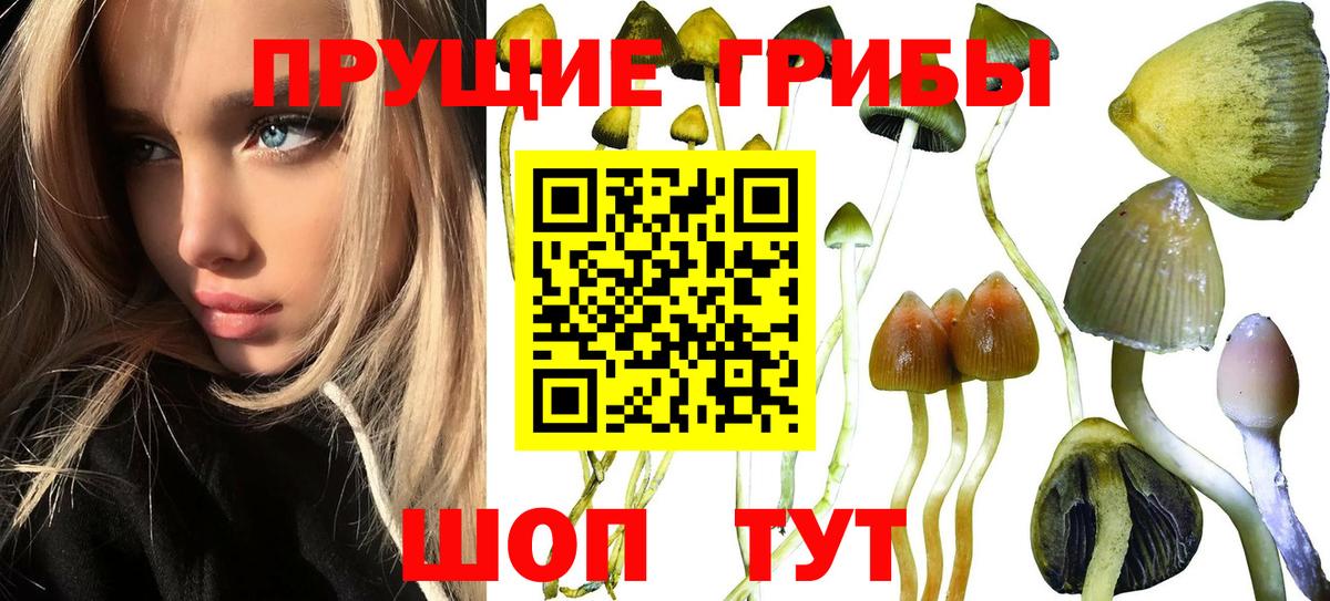 Псилоцибиновые грибы прущие грибы Ахтубинск