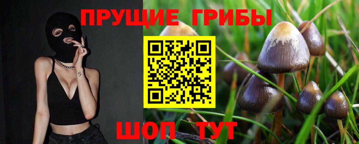 как найти закладки  Вход с VPN  Галлюциногенные грибы прущие грибы  Ахтубинск  Псилоцибиновые грибы мицелий 